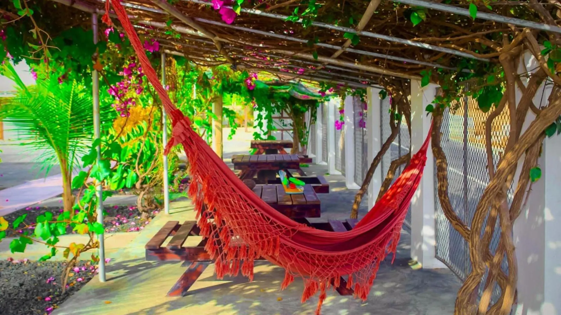 Hotel Pousada Venus ساو فيليبي